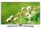 Tivi LG 55 inch UHD 4K 55UK6540PTD