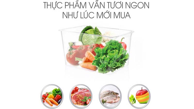 Chức năng holiday cho thực phẩm vẫn tươi ngon trong thời gian dài