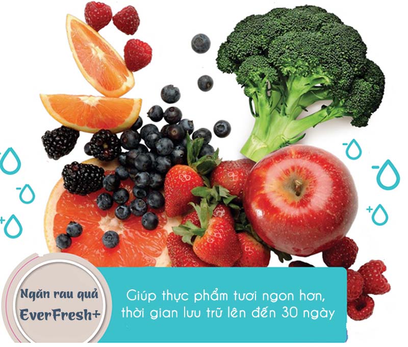 Ngăn rau quả tươi Everfresh+