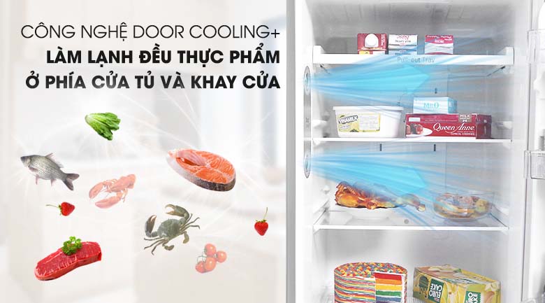 DoorCooling+ - Tủ lạnh LG Inverter 315 lít GN-M315PS