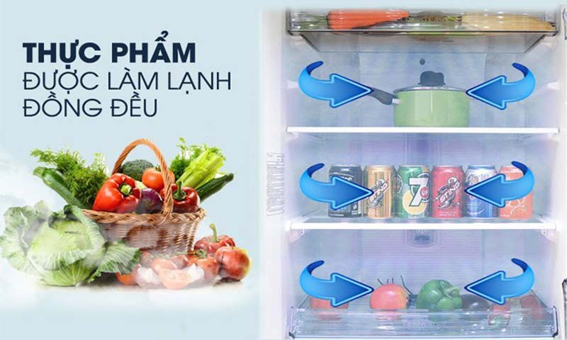 Luồng khí lạnh vòng cung Panorama cho thực phẩm được làm lạnh đồng đều, hiệu quả