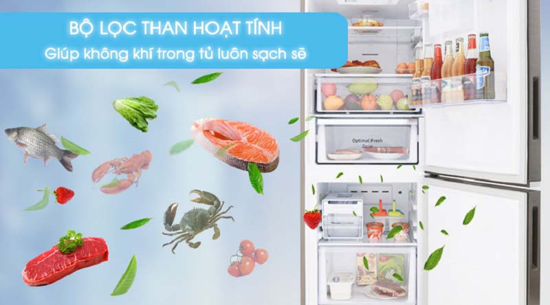 Bộ lọc than hoạt tính khử mùi hôi hiệu quả - Tủ lạnh Samsung Inverter 276 lít RB27N4010DX/SV