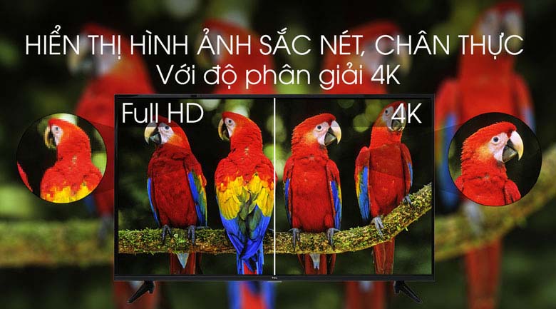 Tivi Led tcl l43p65-uf độ phân giải