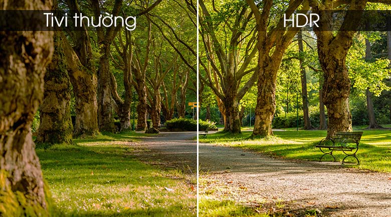 Công nghệ HDR - Smart Tivi TCL 4K 50 inch L50P65-UF