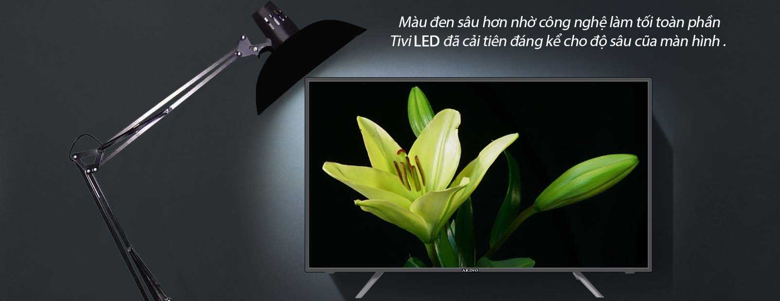 Tivi LED AKINO PA-40TDBV - 40 Inch