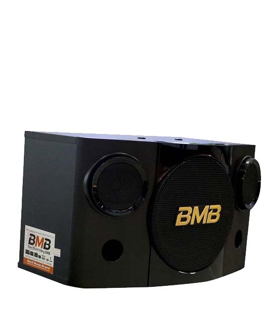 Loa BMB CSE 308 SE