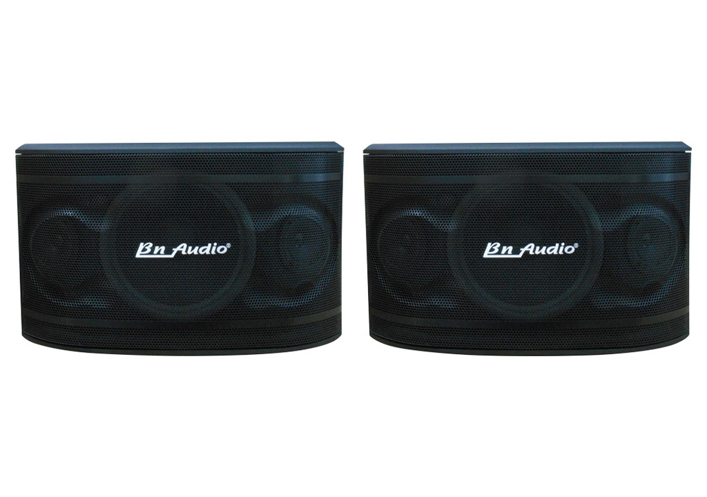 LOA BN AUDIO BN 404 II