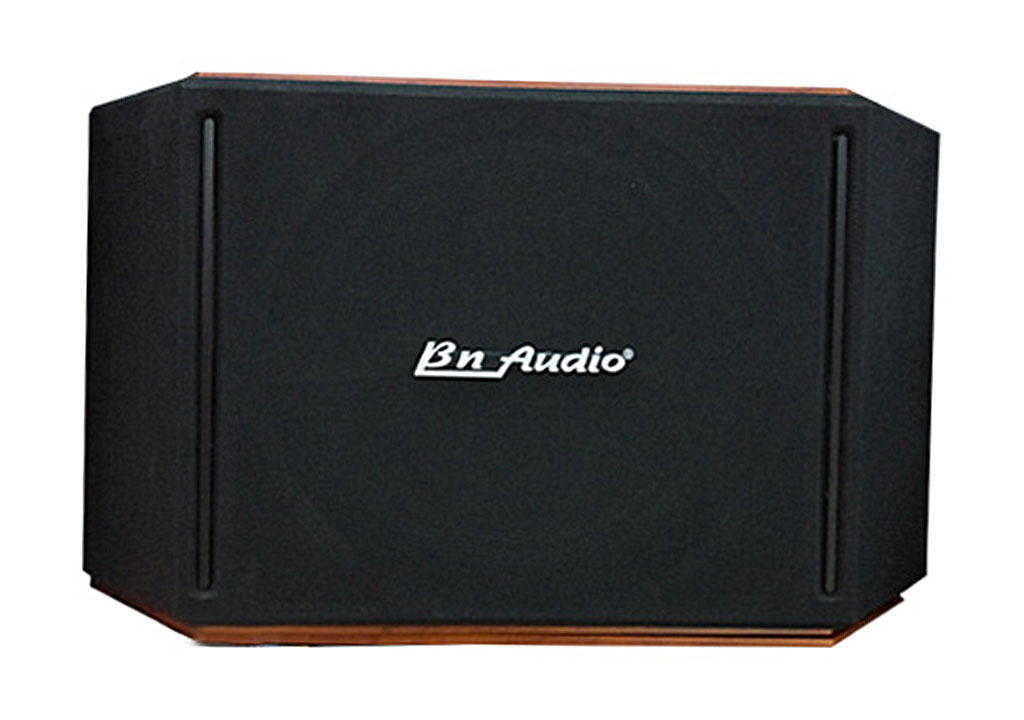 LOA BN AUDIO BN 505 II