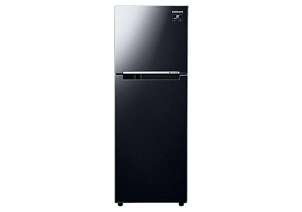 Samsung Fridge Inverter 236 liters RT22M4032BU/SV