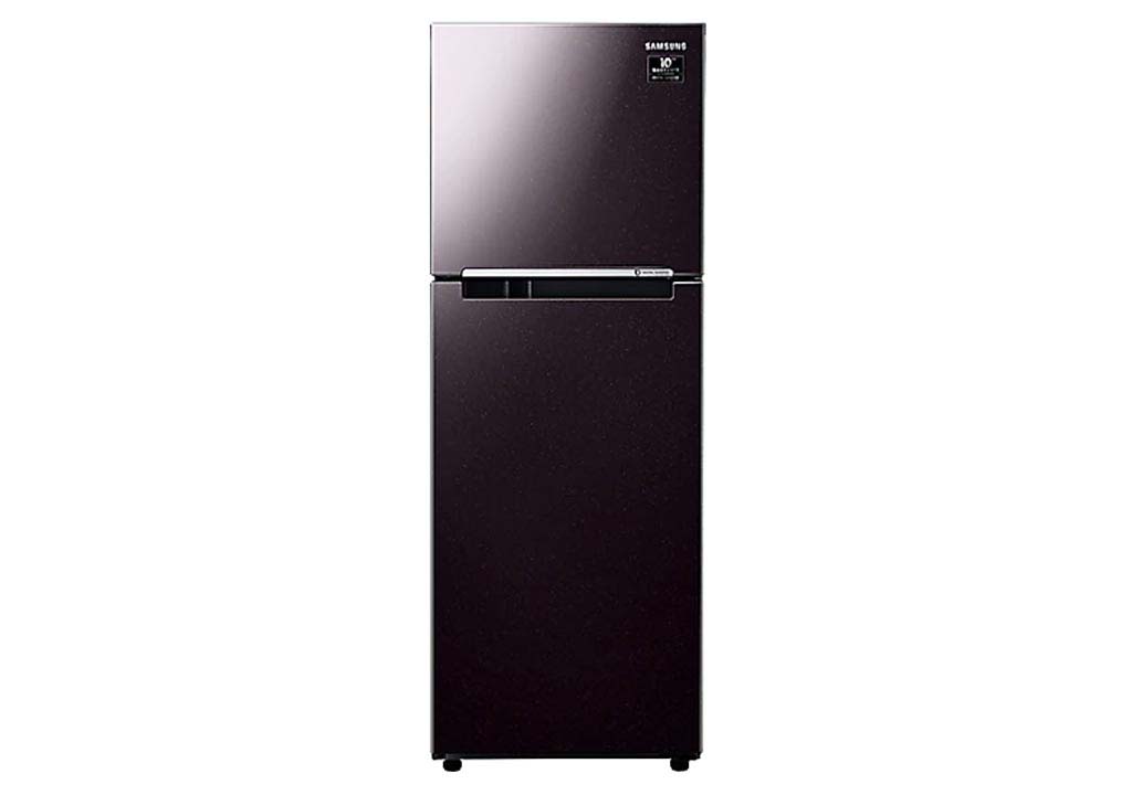 Samsung Fridge Inverter 236 liters RT22M4032BY/SV