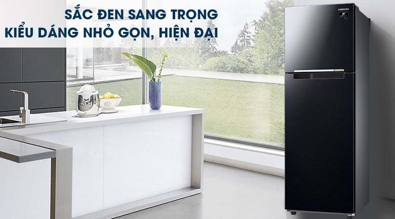 Tủ lạnh Samsung Inverter 236 lít RT22M4032BU/SV