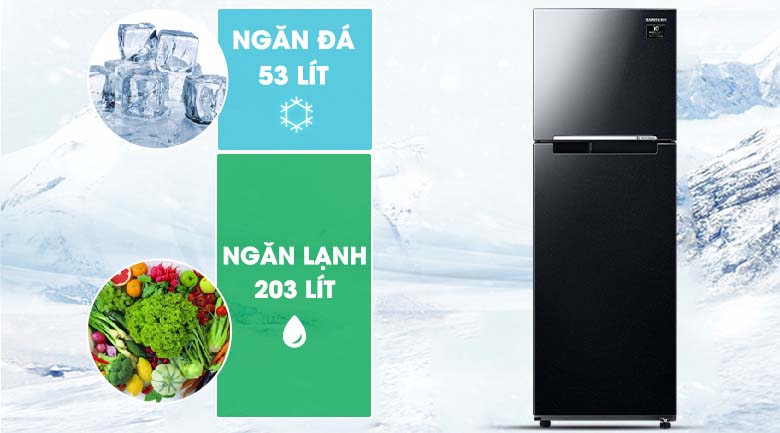 256 lít - Tủ lạnh Samsung RT25M4032BU/SV