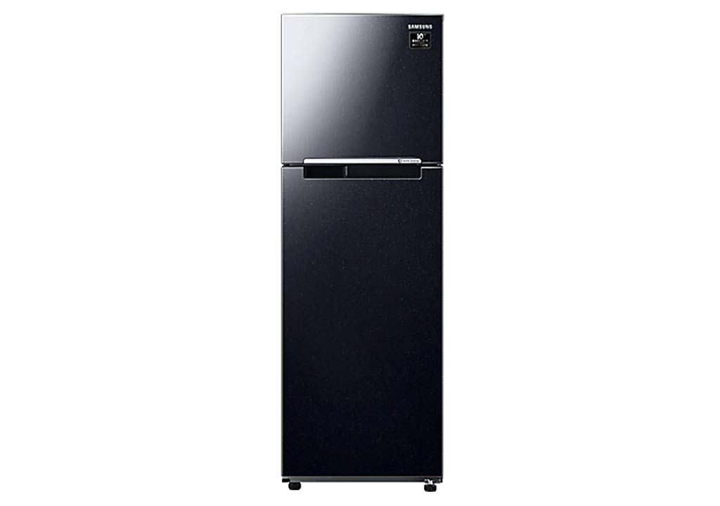 Samsung Fridge Inverter 256 liters RT25M4032BU/SV