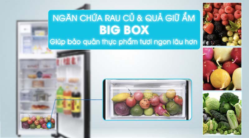 Ngăn rau BigBox