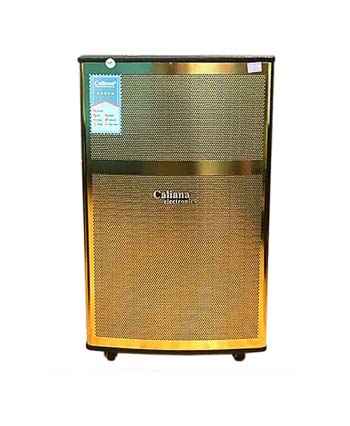 Loa kéo di động Caliana WD-15A 4 tấc