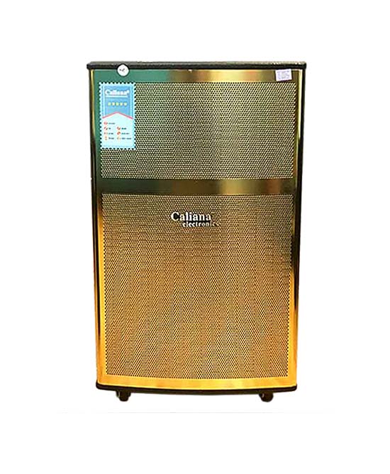 Loa kéo di động Caliana WD-15B