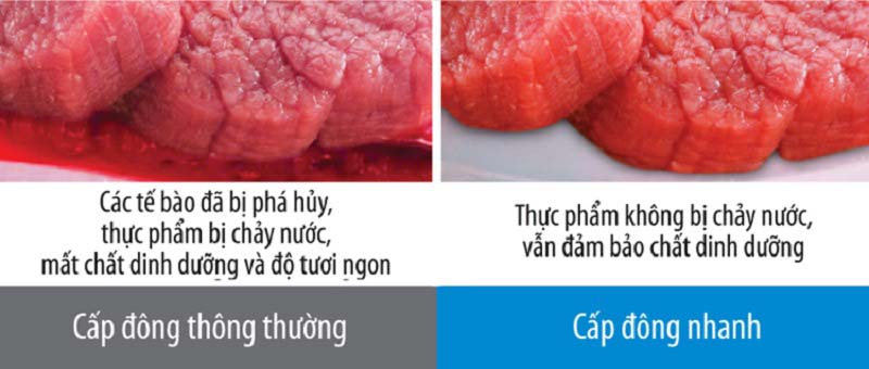 Bảo quản trọng vẹn dinh dưỡng cho thực phẩm